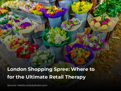 London Shopping Spree: Where to Stay for the Ultimate Retail Therapy