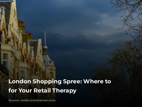 London Shopping Spree: Where to Stay for Your Retail Therapy