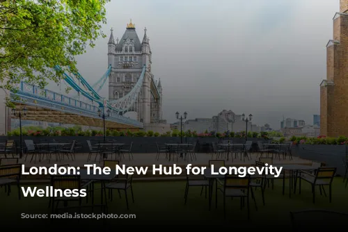 London: The New Hub for Longevity and Wellness