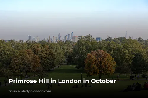 Primrose Hill in London in October