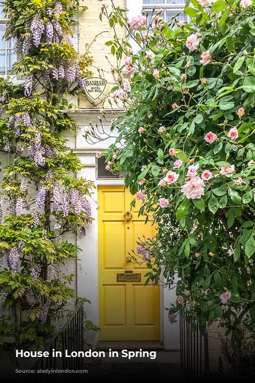 House in London in Spring