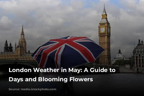 London Weather in May: A Guide to Sunny Days and Blooming Flowers