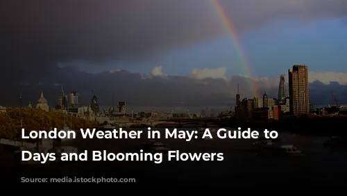 London Weather in May: A Guide to Sunny Days and Blooming Flowers