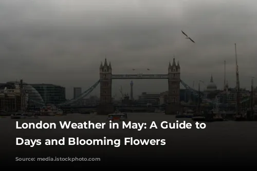 London Weather in May: A Guide to Sunny Days and Blooming Flowers