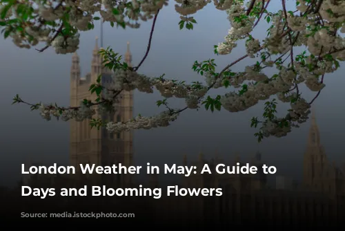 London Weather in May: A Guide to Sunny Days and Blooming Flowers