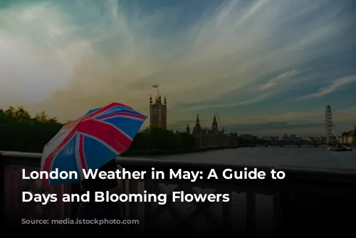 London Weather in May: A Guide to Sunny Days and Blooming Flowers