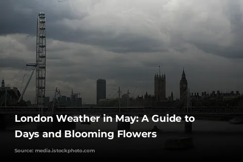 London Weather in May: A Guide to Sunny Days and Blooming Flowers