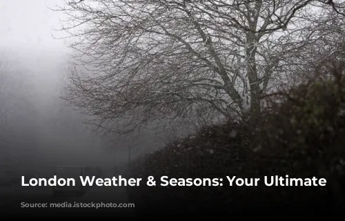 London Weather & Seasons: Your Ultimate Guide