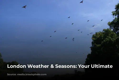 London Weather & Seasons: Your Ultimate Guide