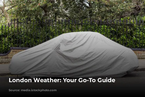 London Weather: Your Go-To Guide