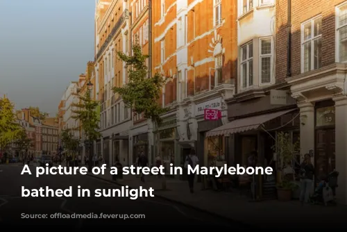 A picture of a street in Marylebone being bathed in sunlight