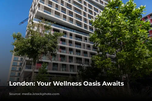 London: Your Wellness Oasis Awaits