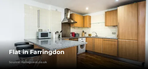 Flat in Farringdon