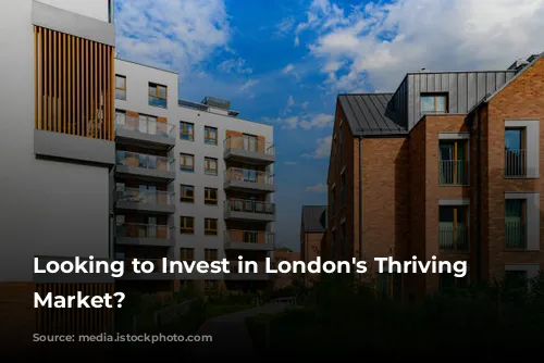 Looking to Invest in London's Thriving Airbnb Market?