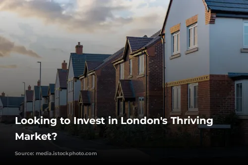 Looking to Invest in London's Thriving Airbnb Market?