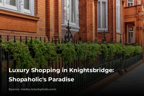 Luxury Shopping in Knightsbridge: A Shopaholic's Paradise