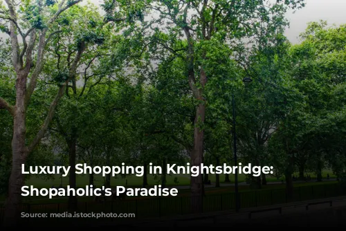 Luxury Shopping in Knightsbridge: A Shopaholic's Paradise