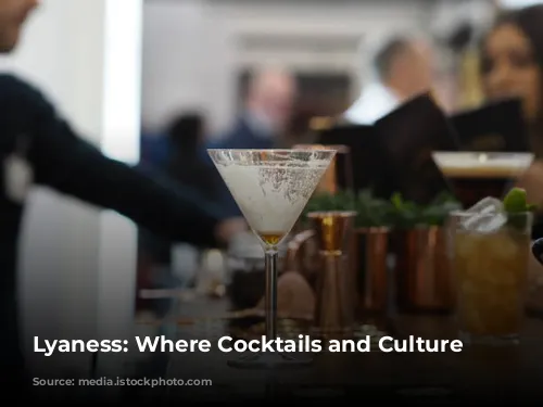 Lyaness: Where Cocktails and Culture Collide