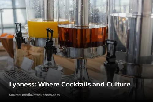 Lyaness: Where Cocktails and Culture Collide