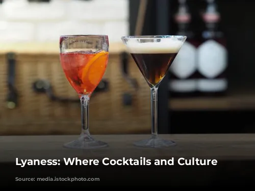 Lyaness: Where Cocktails and Culture Collide