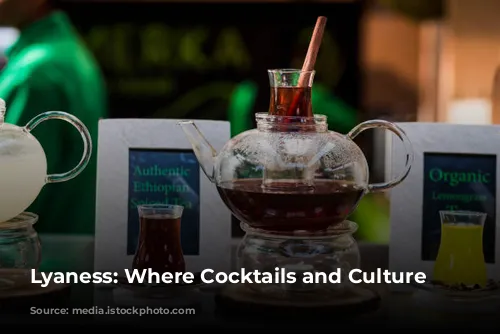 Lyaness: Where Cocktails and Culture Collide