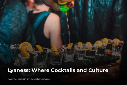 Lyaness: Where Cocktails and Culture Collide