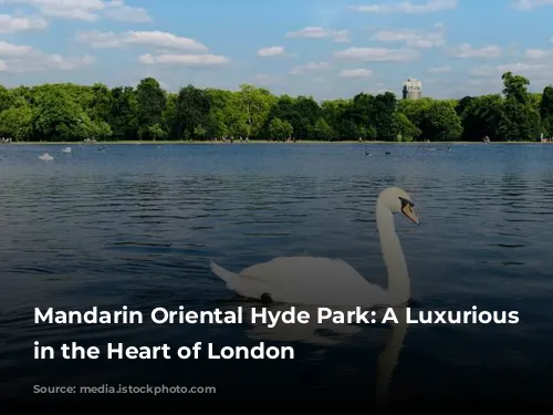 Mandarin Oriental Hyde Park: A Luxurious Oasis in the Heart of London