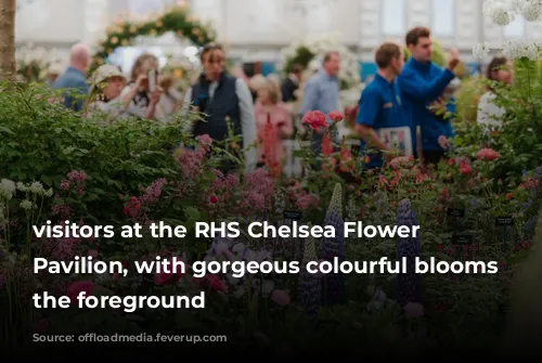 visitors at the RHS Chelsea Flower Show Pavilion, with gorgeous colourful blooms in the foreground