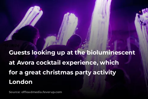 Guests looking up at the bioluminescent set at Avora cocktail experience, which makes for a great christmas party activity in London