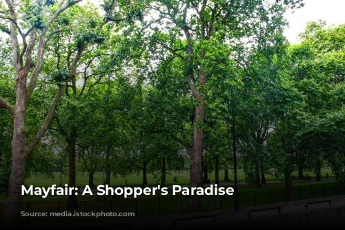 Mayfair: A Shopper's Paradise