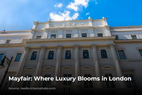 Mayfair: Where Luxury Blooms in London