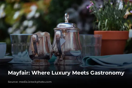 Mayfair: Where Luxury Meets Gastronomy