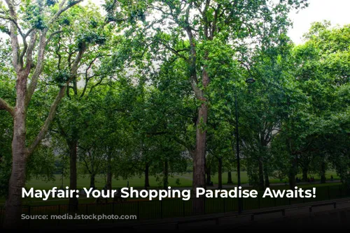 Mayfair: Your Shopping Paradise Awaits!