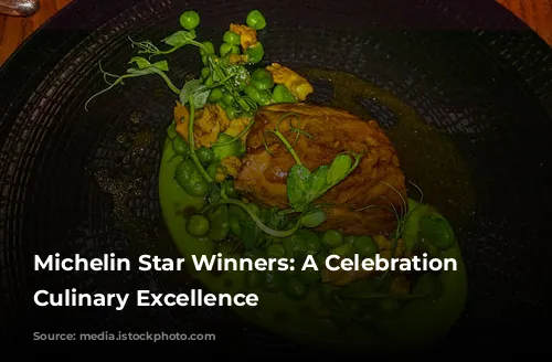 Michelin Star Winners: A Celebration of Culinary Excellence