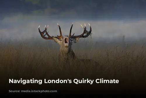 Navigating London's Quirky Climate