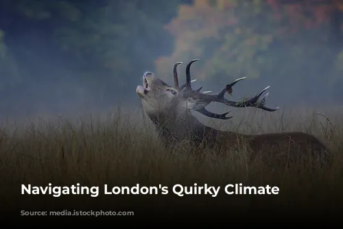 Navigating London's Quirky Climate