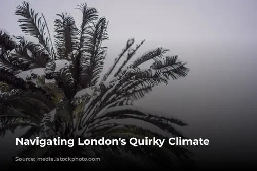 Navigating London's Quirky Climate