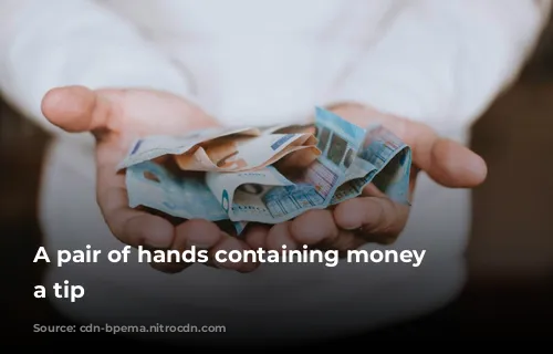 A pair of hands containing money for a tip