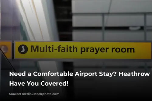 Need a Comfortable Airport Stay? Heathrow Hotels Have You Covered!