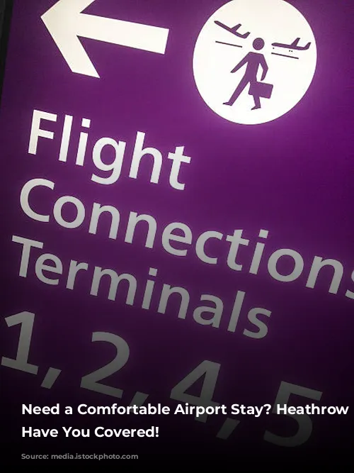 Need a Comfortable Airport Stay? Heathrow Hotels Have You Covered!