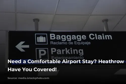 Need a Comfortable Airport Stay? Heathrow Hotels Have You Covered!