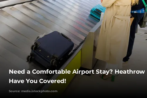 Need a Comfortable Airport Stay? Heathrow Hotels Have You Covered!