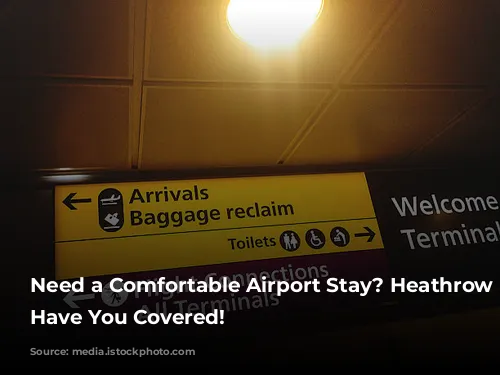 Need a Comfortable Airport Stay? Heathrow Hotels Have You Covered!