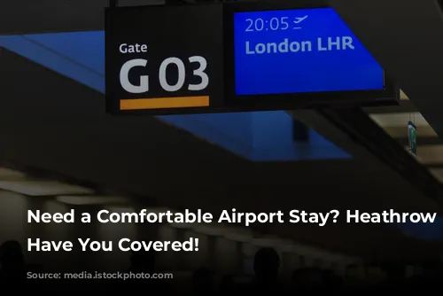 Need a Comfortable Airport Stay? Heathrow Hotels Have You Covered!