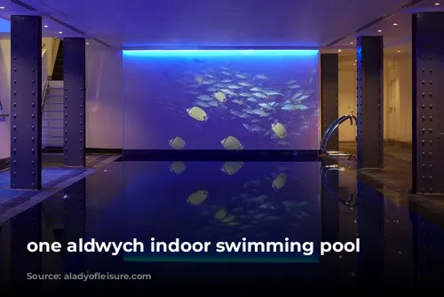 one aldwych indoor swimming pool