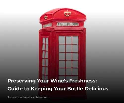  Preserving Your Wine's Freshness: A Guide to Keeping Your Bottle Delicious 