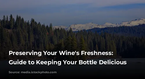  Preserving Your Wine's Freshness: A Guide to Keeping Your Bottle Delicious 