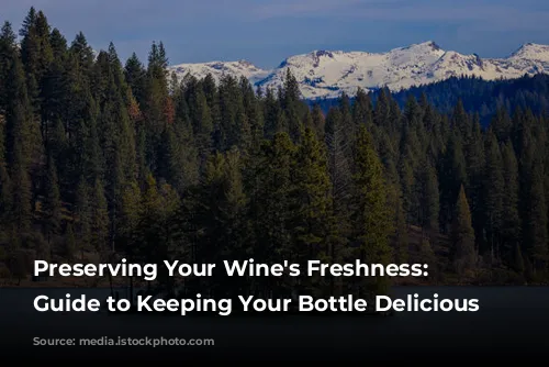  Preserving Your Wine's Freshness: A Guide to Keeping Your Bottle Delicious 