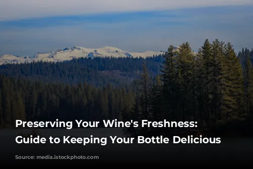  Preserving Your Wine's Freshness: A Guide to Keeping Your Bottle Delicious 