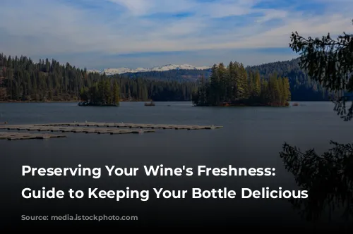  Preserving Your Wine's Freshness: A Guide to Keeping Your Bottle Delicious 